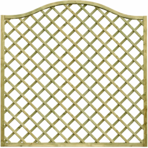 Omega Diamond Lattice