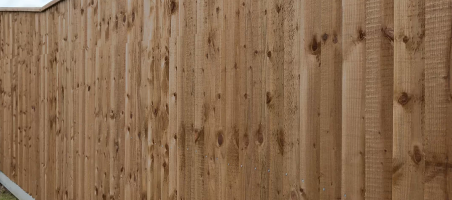 Feather Edge Fencing